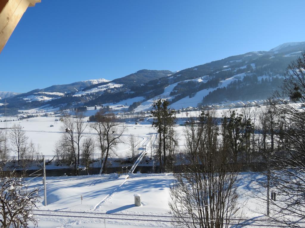 Bruecklerhof Apartment Haus im Ennstal Luaran gambar